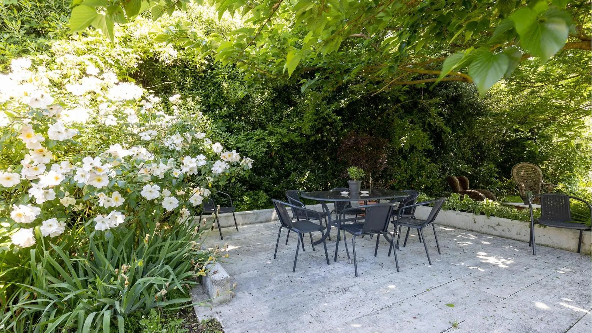 Lovely Home In Pietrasanta